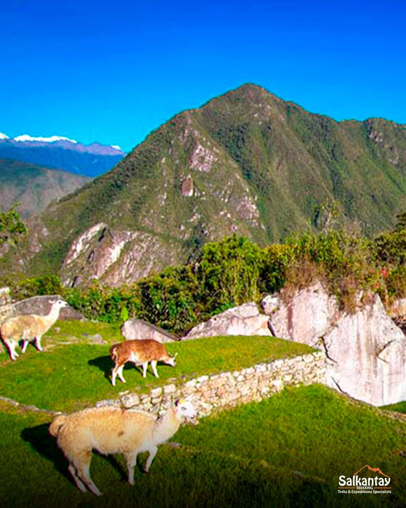 Estação seca em Machu Picchu