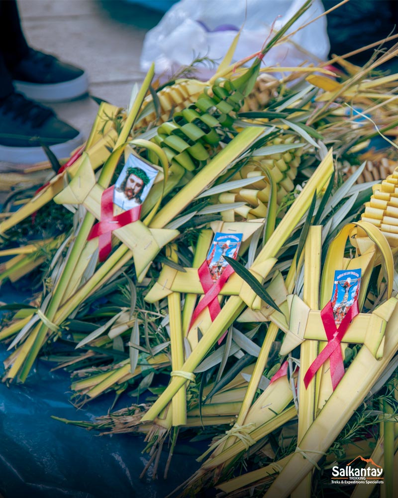 Palmeira típica do Domingo de Ramos