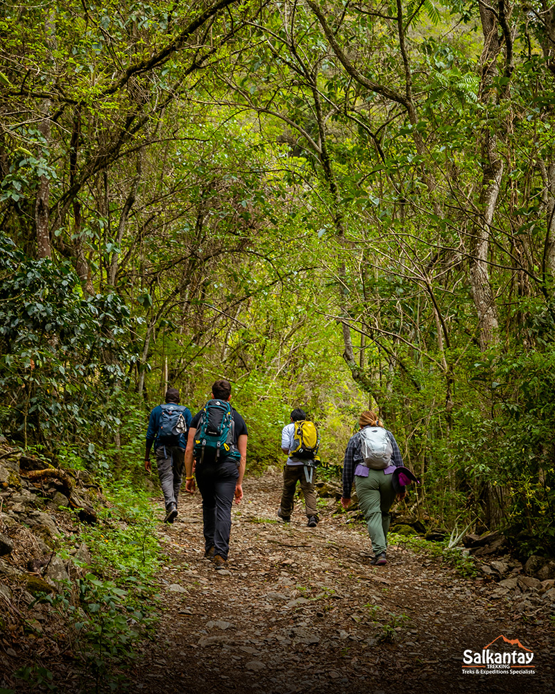 Inca Jungle