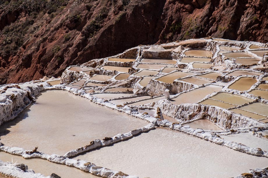 Trabalho em valle sagrado-maras Moray