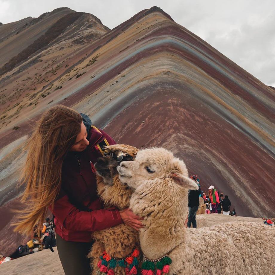 Alpaca na Montanha do Arco-Íris