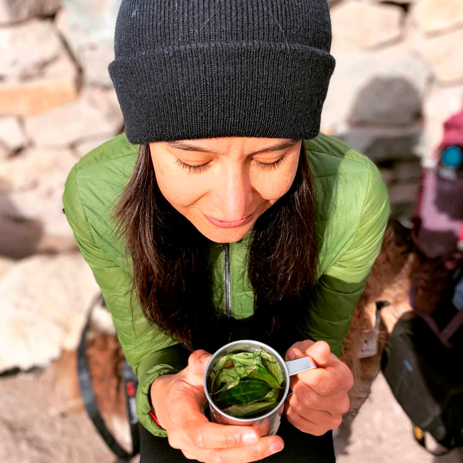 Beber chá de coca para o mal de altitude