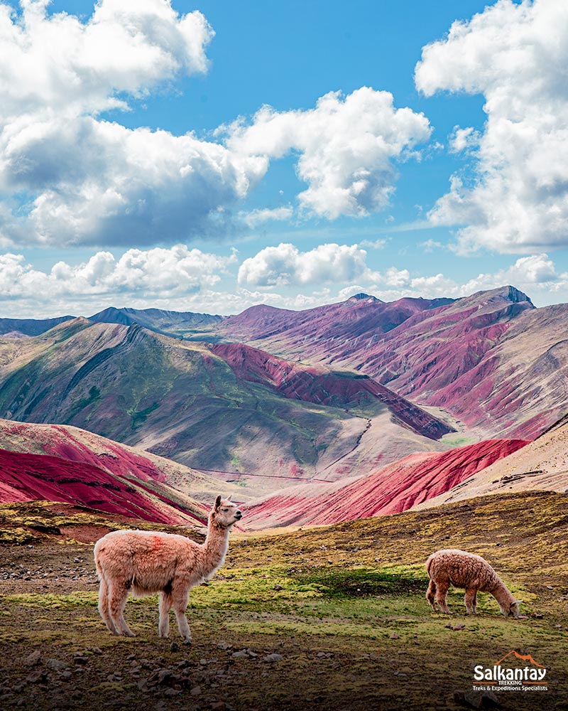 O vale vermelho das montanhas de Palccoyo