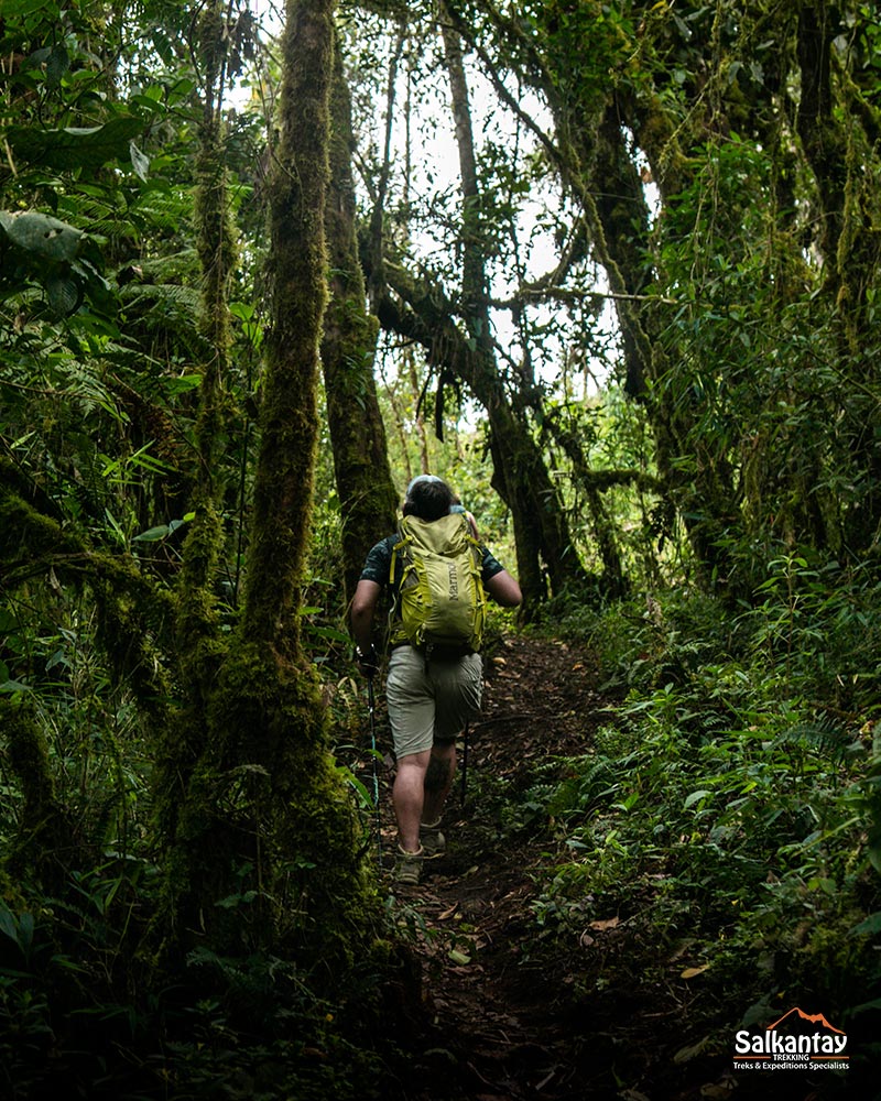 Turista caminhando até a cidade de Aguas Calientes.