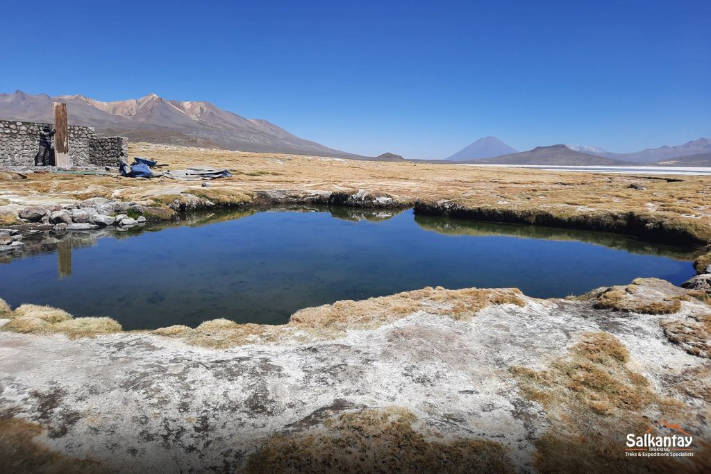 Reserva Nacional de Salinas | Arequipa