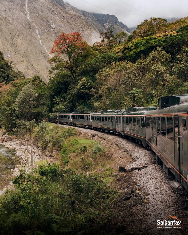 Trem Inca Rail