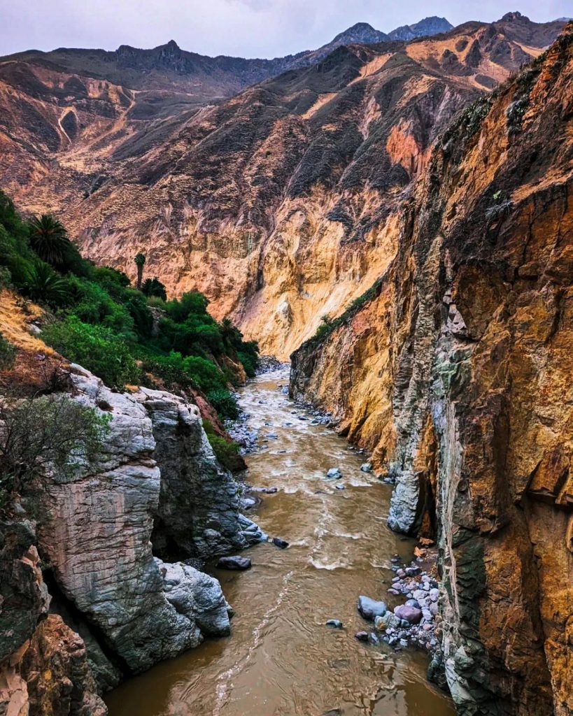 Cânion do Colca na temporada seca.