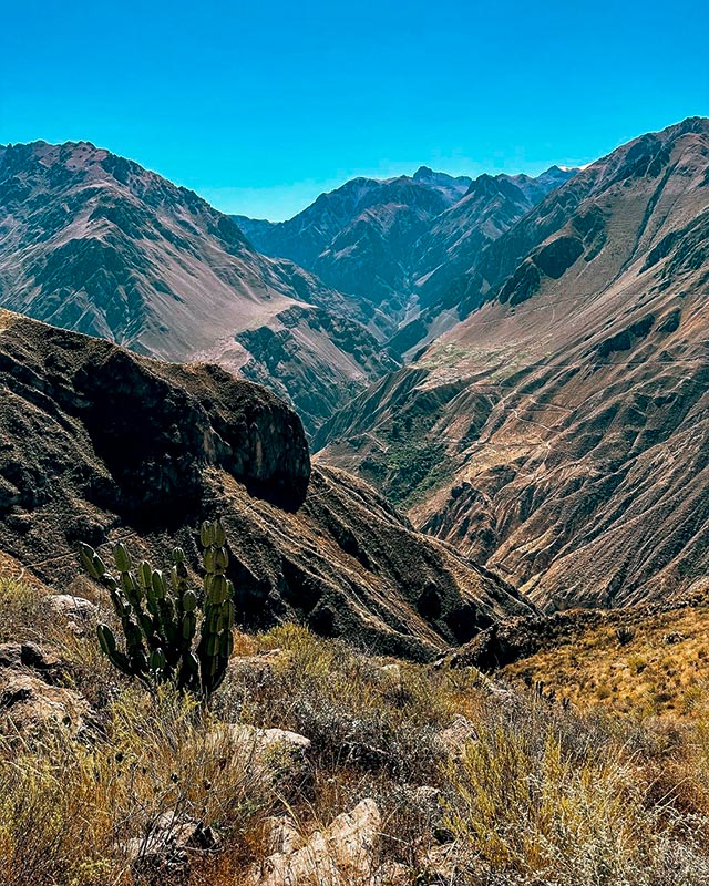 Cânion do Colca.