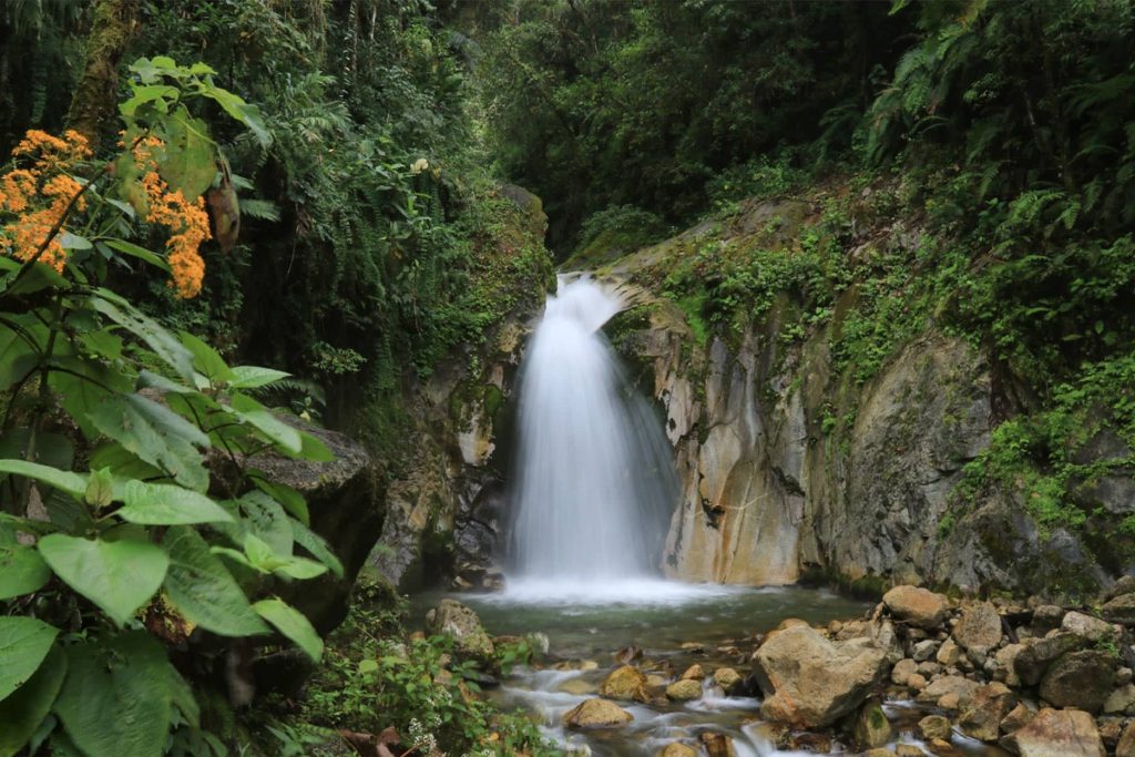 Jardins de Mandor