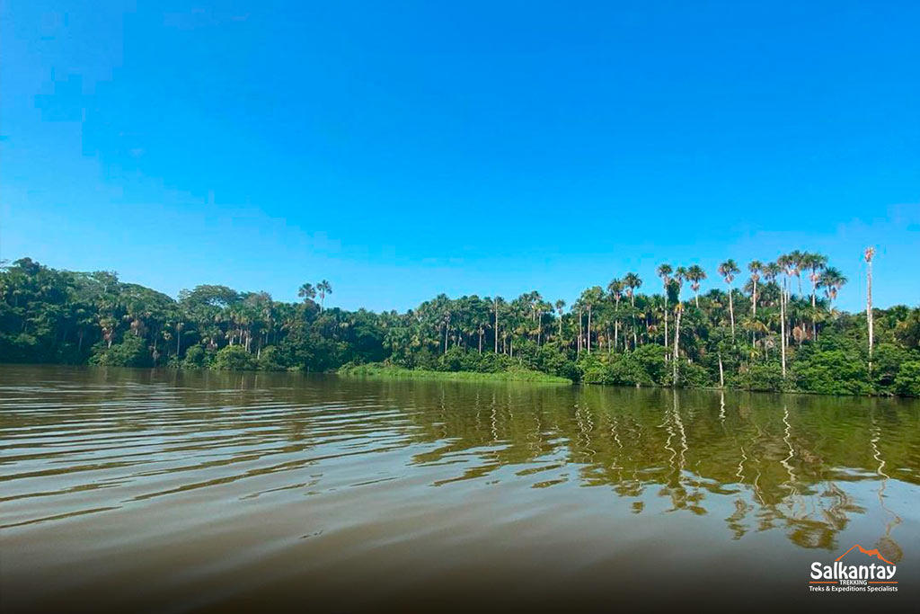 Reserva Nacional Tambopata