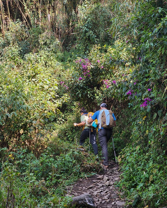 Caminhando pela floresta tropical até Choquequirao