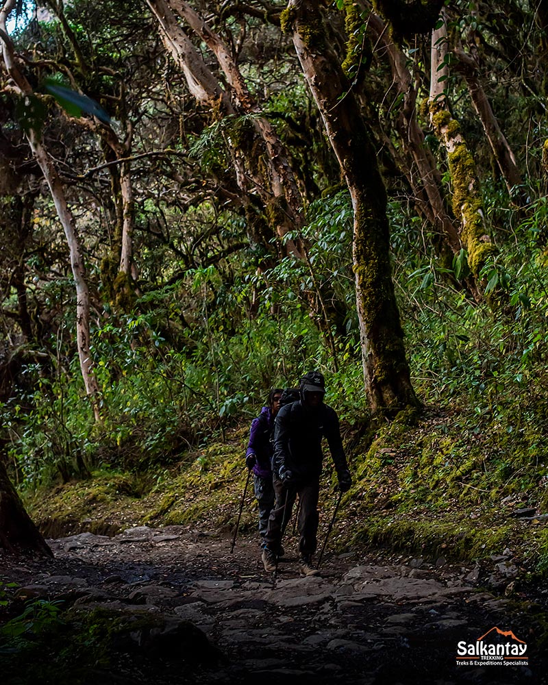 O Caminho Inca: Viagem pela História