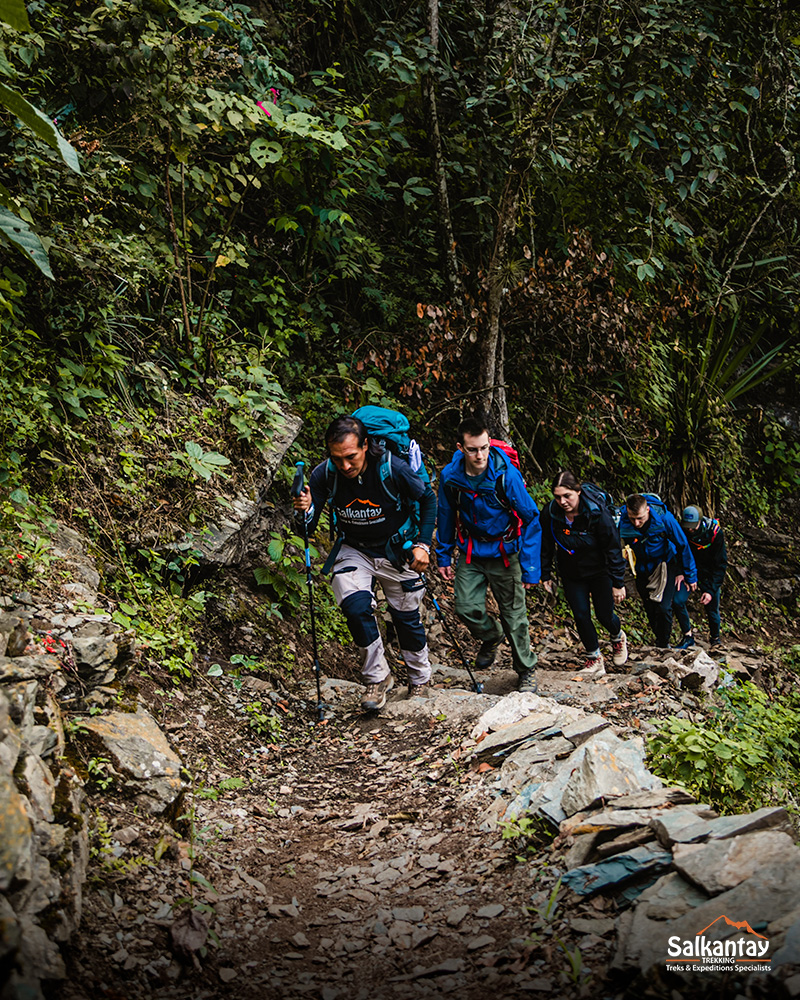 Guia turístico e quatro turistas em uma caminhada na selva andina